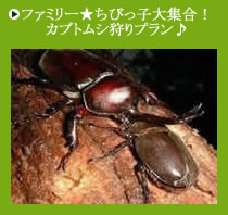 �w�����s�[�~���h���C10�����܈ȏ�S�ّݐ�OK��v����